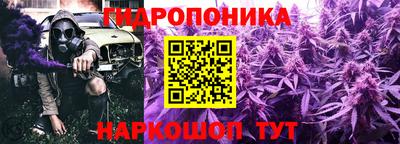 кокс Ливны