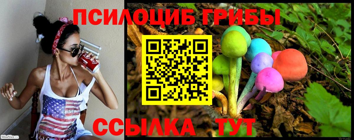 Псилоцибиновые грибы GOLDEN TEACHER  Вход с VPN  что такое наркотик  Губкинский 