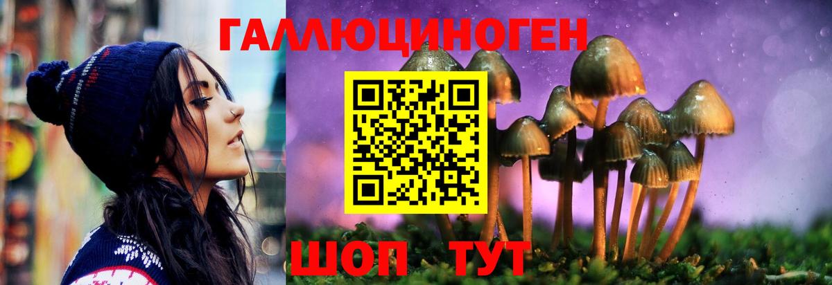 Галлюциногенные грибы мицелий Губкинский